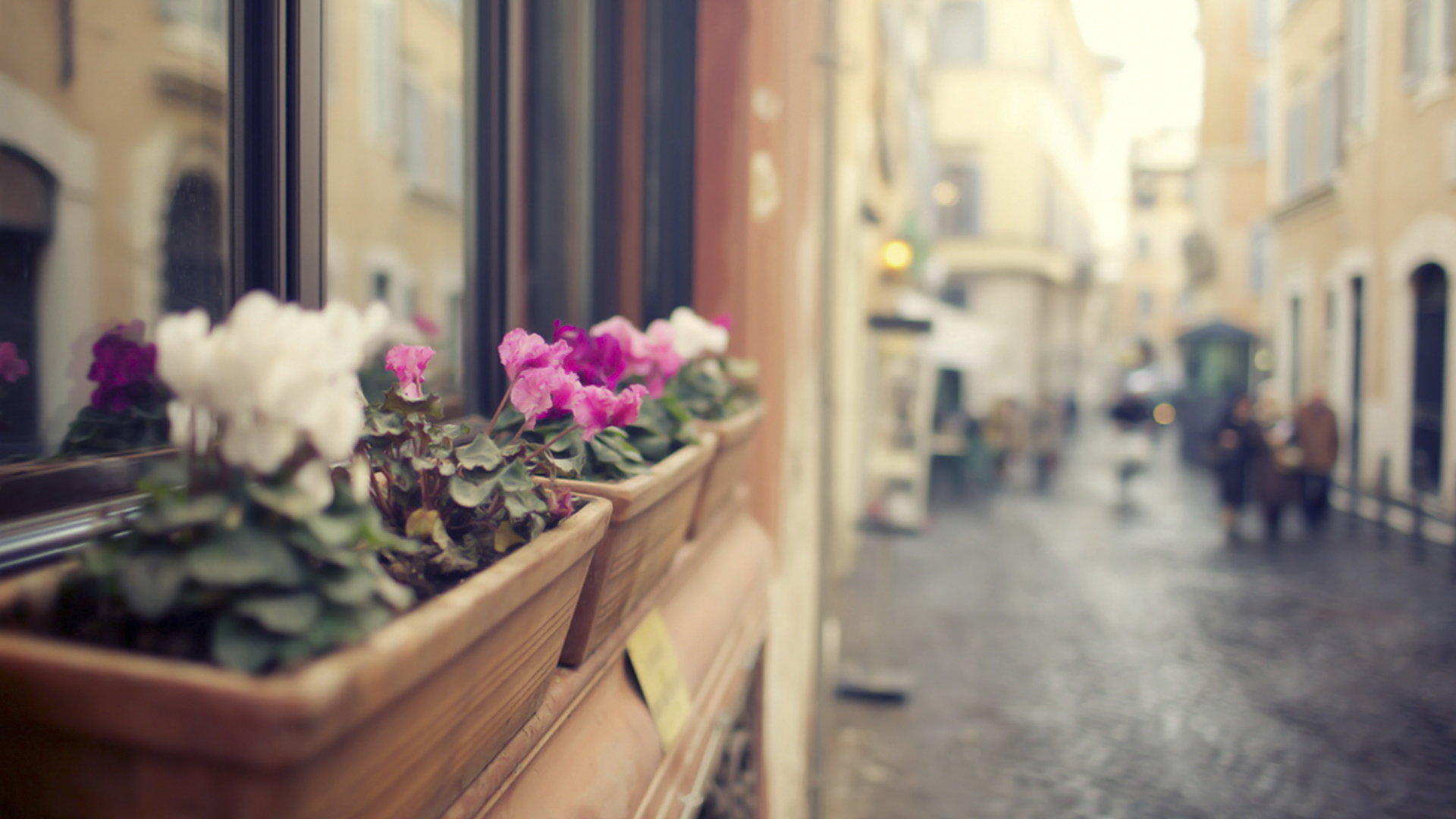 src=http _attach_bbs_miui_com_forum_201306_22_221110fmat7ymk7s6ykw77_jpg&refer=http _attach_bbs_miui_com&app=2002&size=f9999,10000&q=a80&n=0&g=0n&fmt=jpeg.jpg