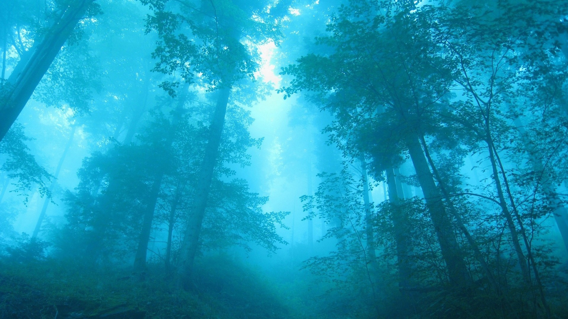 src=http _attach_bbs_miui_com_forum_201311_17_125654en6sw0w30vfnd7f0_jpg&refer=http _attach_bbs_miui_com&app=2002&size=f9999,10000&q=a80&n=0&g=0n&fmt=jpeg.jpg