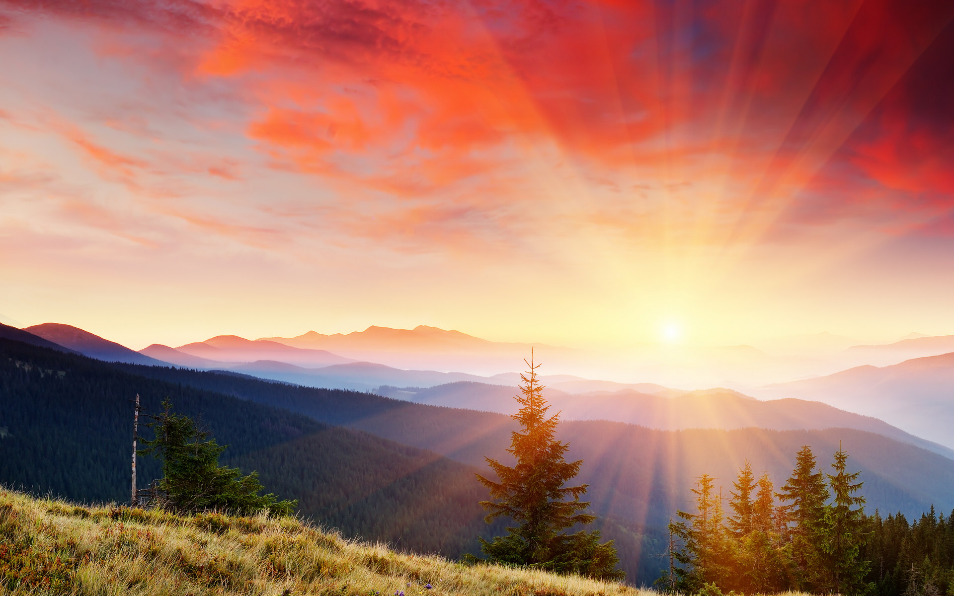 src=http _attach_bbs_miui_com_forum_201408_14_133716b278lold52lx0lof_jpg&refer=http _attach_bbs_miui_com&app=2002&size=f9999,10000&q=a80&n=0&g=0n&fmt=jpeg.jpg