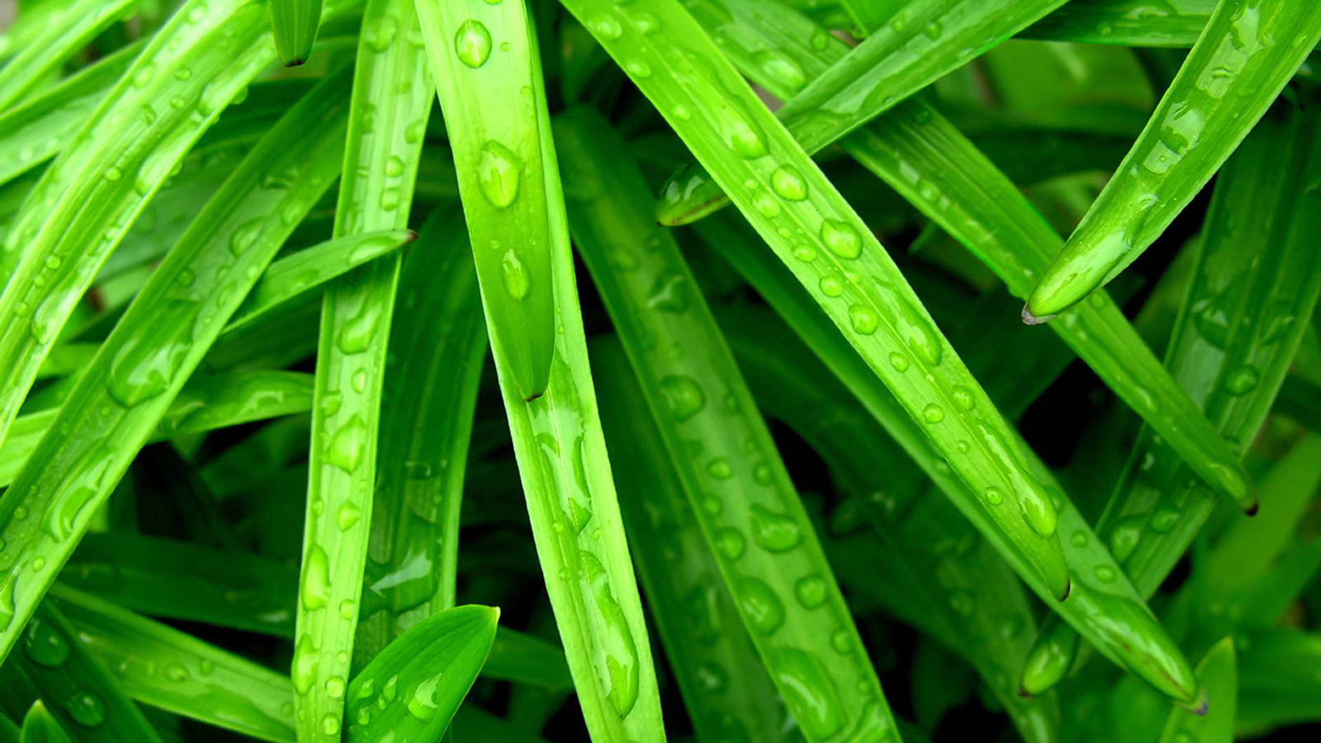 src=http _attach_bbs_miui_com_forum_201207_24_105925hdvpxx0hmss0vhyy_jpg&refer=http _attach_bbs_miui_com&app=2002&size=f9999,10000&q=a80&n=0&g=0n&fmt=jpeg.jpg